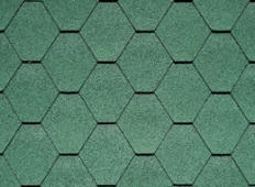 04 Forest Green